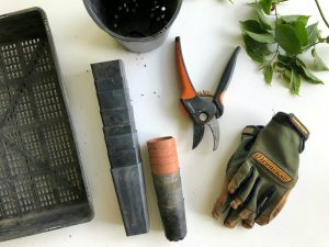 Eco-Friendly Gardening Tools